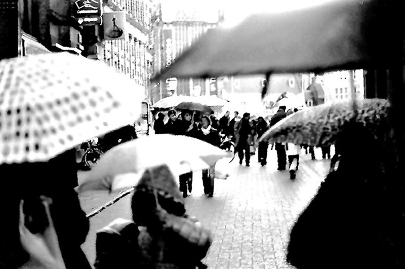 UmbrellaGaryMarkSmithPhoto20